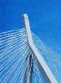 Zakim Bunker Hill Bridge copyright 2010 Joyce Frederick